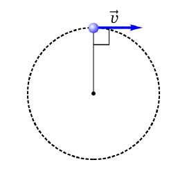 500x500
