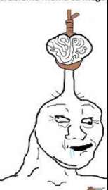 273x477