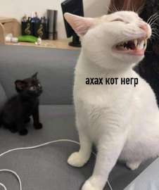 638x759