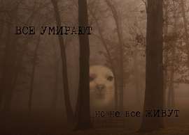604x436