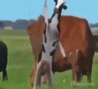 4nvEgjpa.жипег