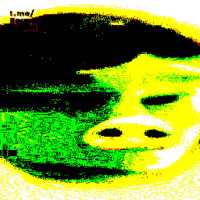 256x256