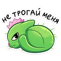 2IP0tHFW.жипег