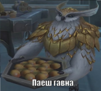 C2jvdffY.жипег