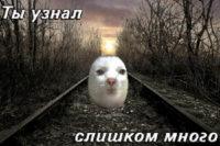 EjJJ3K9f.жипег