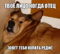 eLa2uoR4.жипег