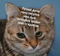 ljPWKTA4.жипег