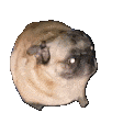 hHJIkRKu.жипег
