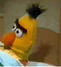 mqWbCKOk.жипег