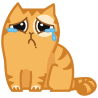 512x512