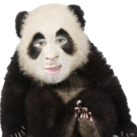 x2E80A2b.жипег