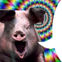 ZSijMFBY.жипег