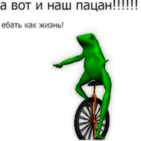 owMITkxD.жипег
