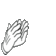 56x56