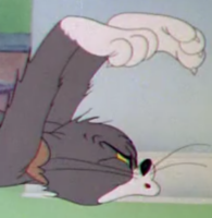 ZnlqPg8m.жипег
