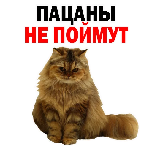 512x512