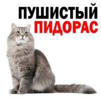 dErqIsH9.жипег