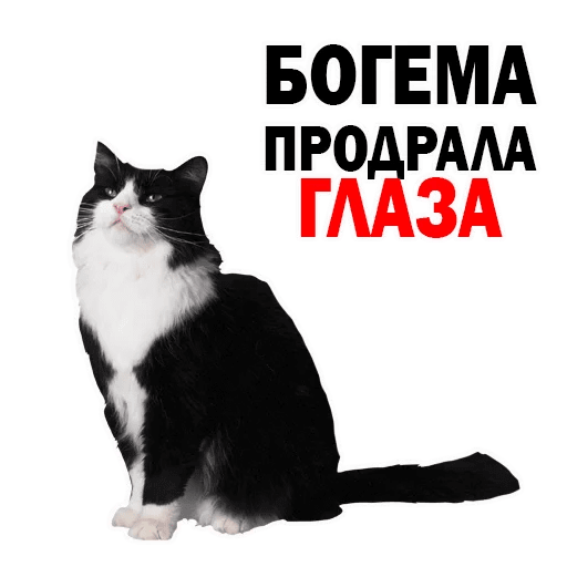 512x512