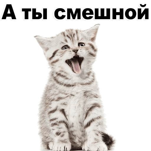 512x512