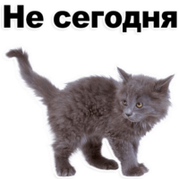 512x512
