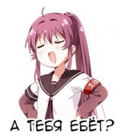 204x234