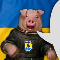 NSuj3z7V.жипег