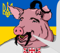 fSztvE5W.жипег