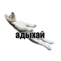 xelVMaTq.жипег