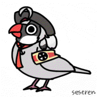 500x500