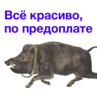 GO9xM3Xu.жипег