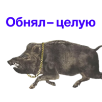 aC6Fy2wV.жипег