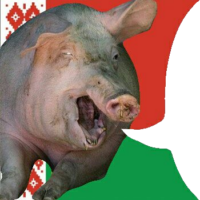 32hVdjZP.жипег