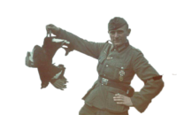 bXW1F4RQ.жипег