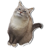 512x512