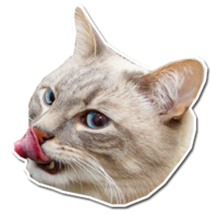 512x512