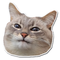 512x512