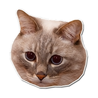 512x512