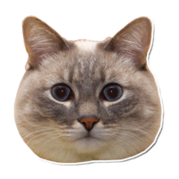 512x512