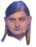 300x395