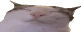 160x64