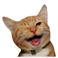 IMHkKAJJ.жипег