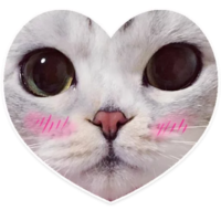 kVweYlmJ.жипег