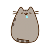 5SS0CYO9.жипег