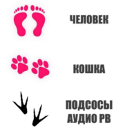FLr4iTMj.жипег