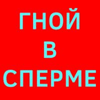 K5jtXdyk.жипег