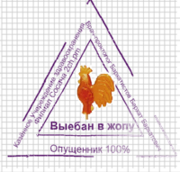 511x489