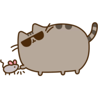 512x512
