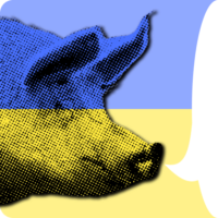 500x500