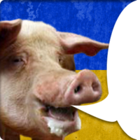 pO6O9vP1.жипег