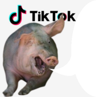 J5OGHfE4.жипег